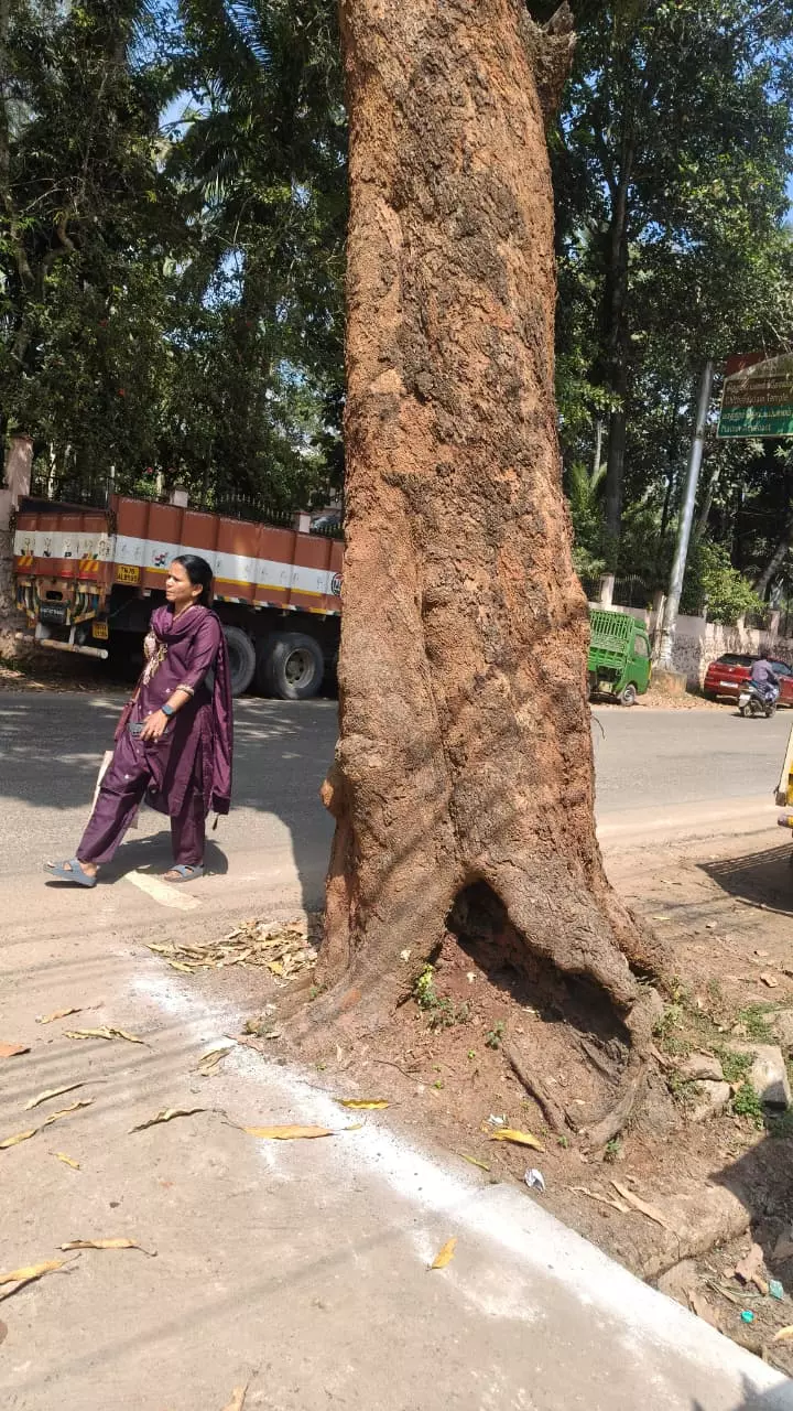 விபத்து அபாயம் விபத்து அபாயம்