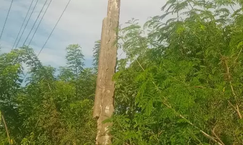 உயிரிழப்பு ஏற்படும் அபாயம்