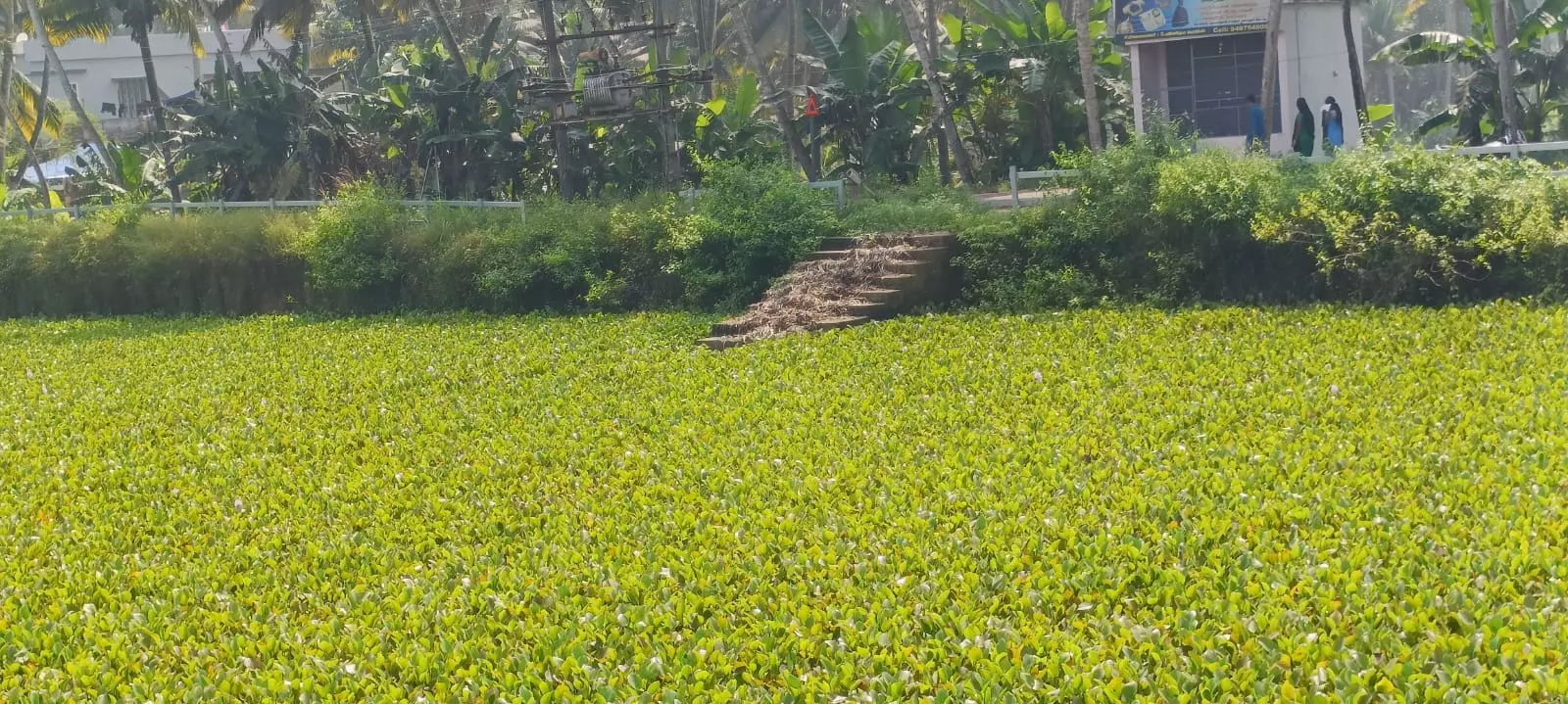 தூர்வார வேண்டும் தூர்வார வேண்டும்