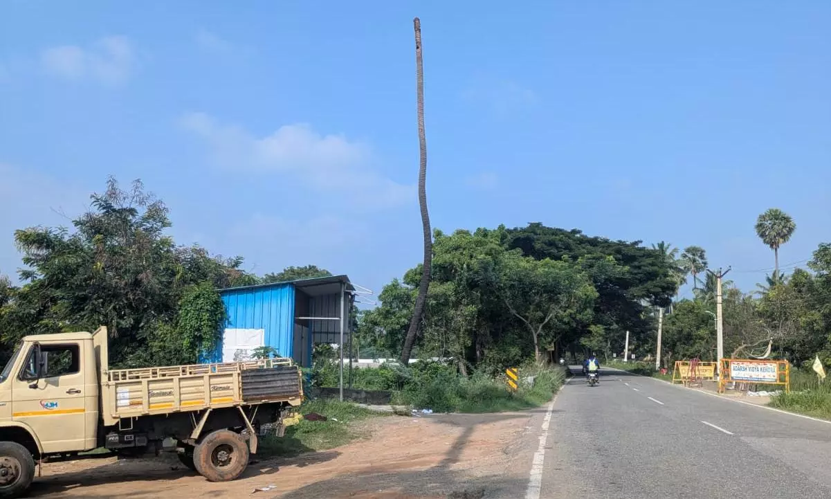 வெட்டி அகற்ற வேண்டும் வெட்டி அகற்ற வேண்டும்