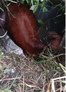 தொடர் விபத்துகள் தடுக்கப்படுமா? தொடர் விபத்துகள் தடுக்கப்படுமா?