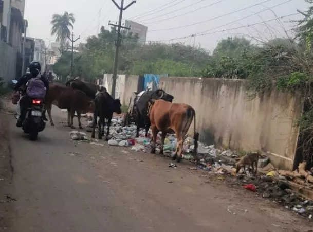 சாலையில் குவியும் கழிவுகள்