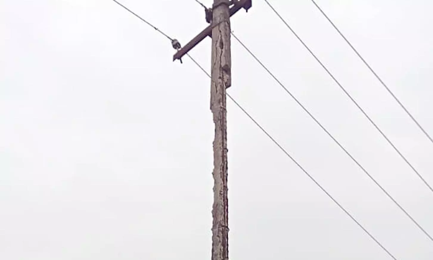 எலும்புக்கூடான மின்கம்பம் எலும்புக்கூடான மின்கம்பம்