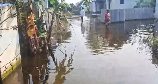 குடியிருப்பு பகுதியில் தேங்கிய மழைநீர் குடியிருப்பு பகுதியில் தேங்கிய மழைநீர்