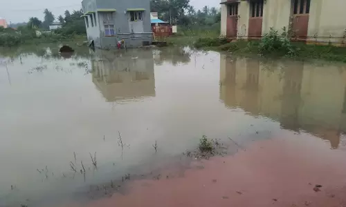 வீடுகளை சூழ்ந்த மழைநீர் வீடுகளை சூழ்ந்த மழைநீர்