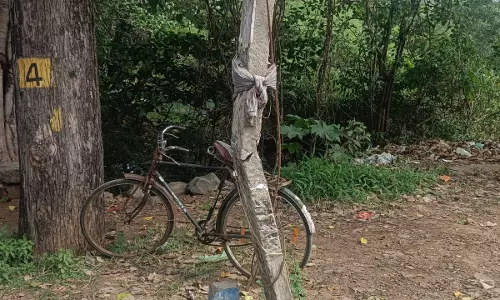 சேதமடைந்த மின்கம்பம்