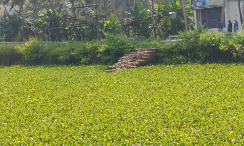 தூர்வார வேண்டும் தூர்வார வேண்டும்