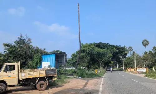 வெட்டி அகற்ற வேண்டும் வெட்டி அகற்ற வேண்டும்