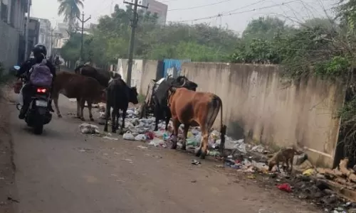 சாலையில் குவியும் கழிவுகள் சாலையில் குவியும் கழிவுகள்