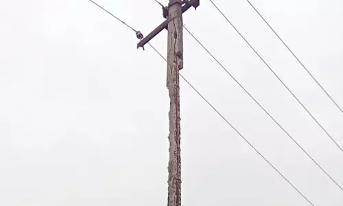 எலும்புக்கூடான மின்கம்பம்