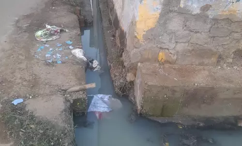 வாறுகாலில் அடைப்பு