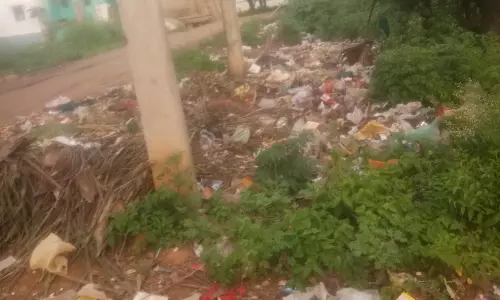 குப்பைத்தொட்டி தேவை