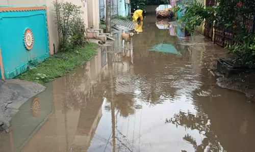 மழைநீர் தேங்காமல் சிமெண்டு சாலை அமைப்பார்களா? மழைநீர் தேங்காமல் சிமெண்டு சாலை அமைப்பார்களா?