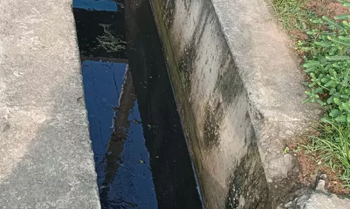 தேங்கும் கழிவுநீரில் கொசு உற்பத்தி தேங்கும் கழிவுநீரில் கொசு உற்பத்தி