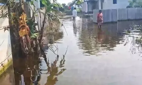 குடியிருப்பு பகுதியில் தேங்கிய மழைநீர் குடியிருப்பு பகுதியில் தேங்கிய மழைநீர்