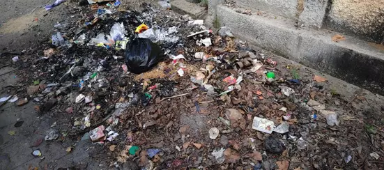 சாலையோரம் கொட்டப்படும் குப்பைகள் சாலையோரம் கொட்டப்படும் குப்பைகள்