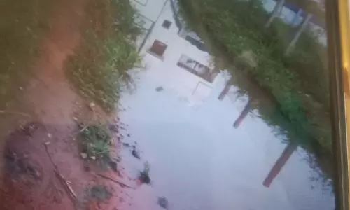 சுகாதார சீர்கேடு