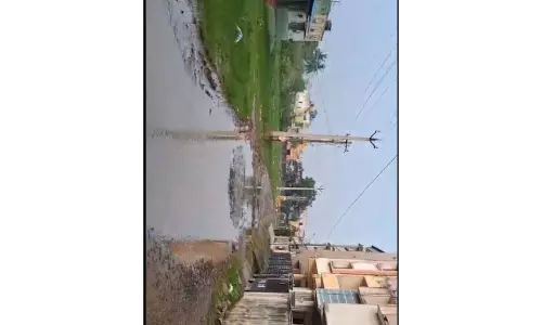 பல்லாங்குழி சாலை