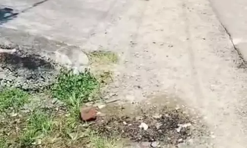 குடிநீர் குழாயில் உடைப்பு