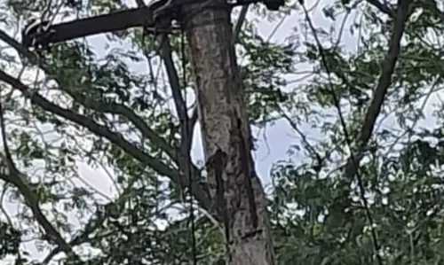 சேதமடைந்த மின்கம்பம்