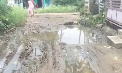 தொற்றுநோய் அபாயம் தொற்றுநோய் அபாயம்