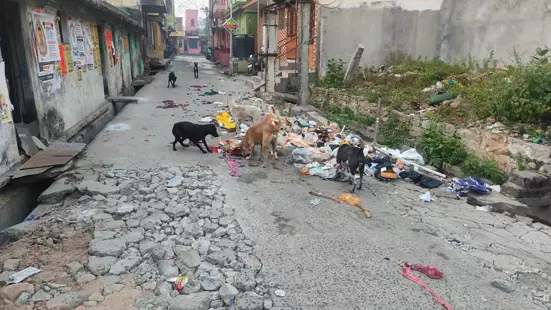 குப்பைகளை தெருவில் கொட்டும் அவலம் குப்பைகளை தெருவில் கொட்டும் அவலம்