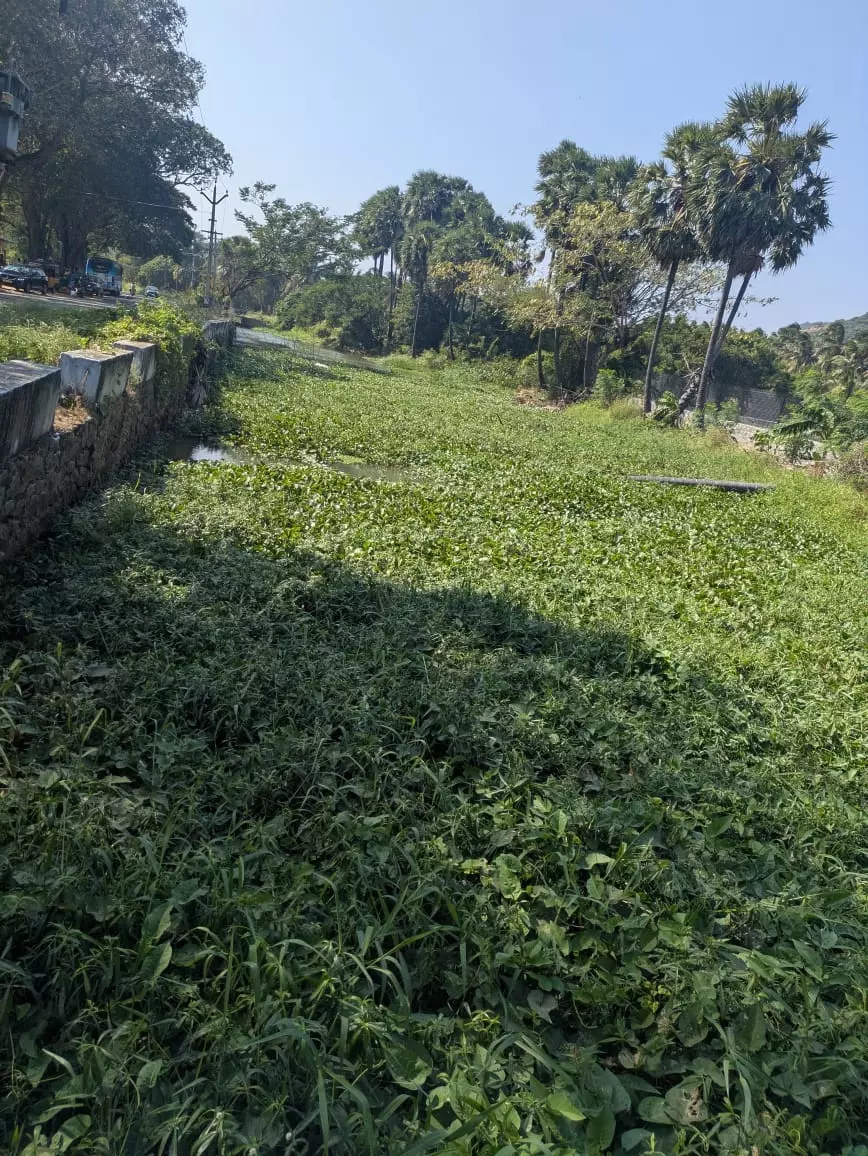 தூர்வாரப்படுமா?