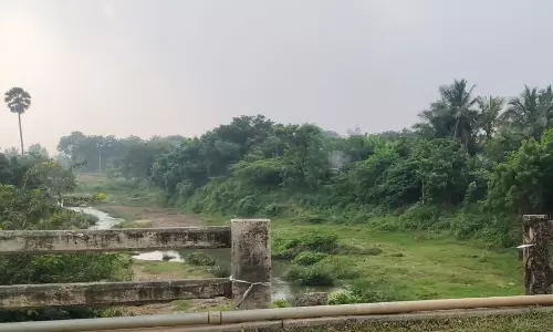 தடுப்புச்சுவர் இல்லாத பாலம் தடுப்புச்சுவர் இல்லாத பாலம்