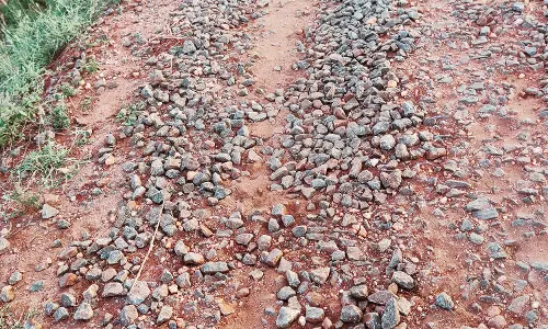 தார் சாலை அமைத்து தர கோருதல் தார் சாலை அமைத்து தர கோருதல்