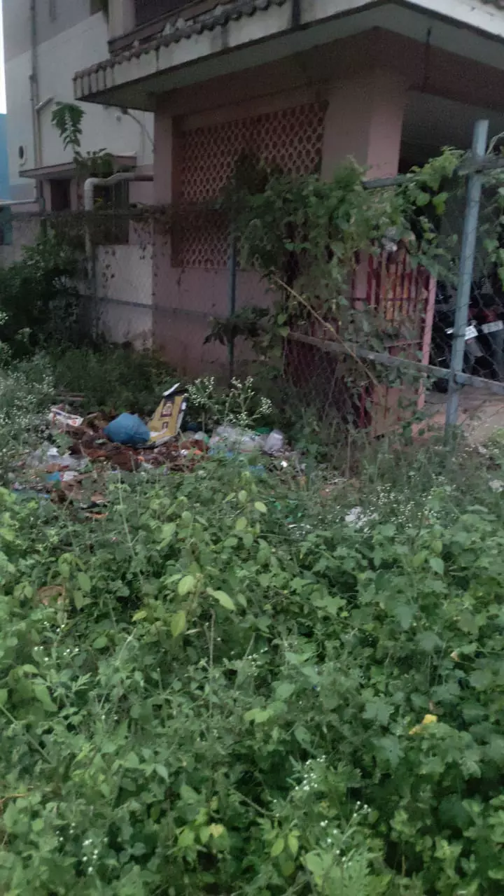 புதர்மண்டி கிடக்கும் பாதை புதர்மண்டி கிடக்கும் பாதை