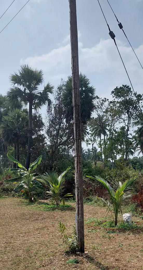 சேதமடைந்த மின்கம்பம் சேதமடைந்த மின்கம்பம்