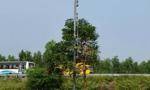 பயன்பாட்டில் இல்லாத உயர் கோபுர மின்விளக்கு பயன்பாட்டில் இல்லாத உயர் கோபுர மின்விளக்கு