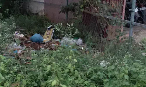 புதர்மண்டி கிடக்கும் பாதை