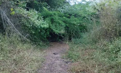 தூர்ந்து கிடக்கும் கால்வாய்கள்