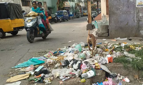 தெருவில் சிதறி கிடக்கும் குப்பைகள் தெருவில் சிதறி கிடக்கும் குப்பைகள்