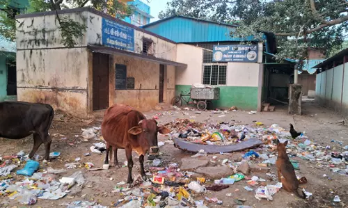 குப்பைகள் அகற்றப்படுமா? குப்பைகள் அகற்றப்படுமா?
