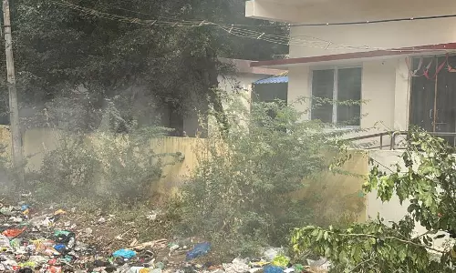 குப்பைகள் அகற்றப்படுமா? குப்பைகள் அகற்றப்படுமா?