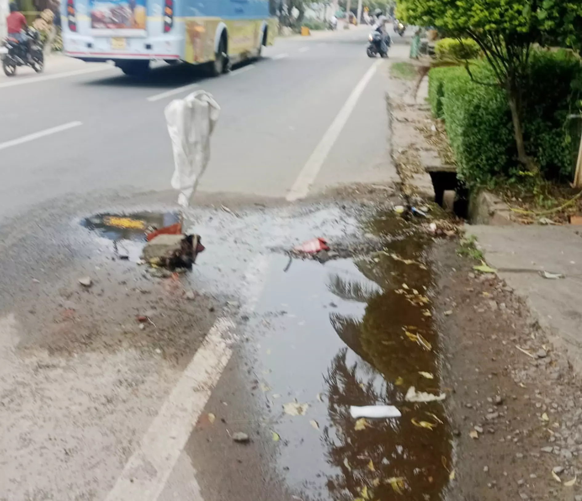 குழாய் உடைப்பால் வீணாகும் குடிநீர் குழாய் உடைப்பால் வீணாகும் குடிநீர்