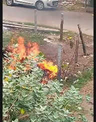 சுவாசிக்க சிரமம்