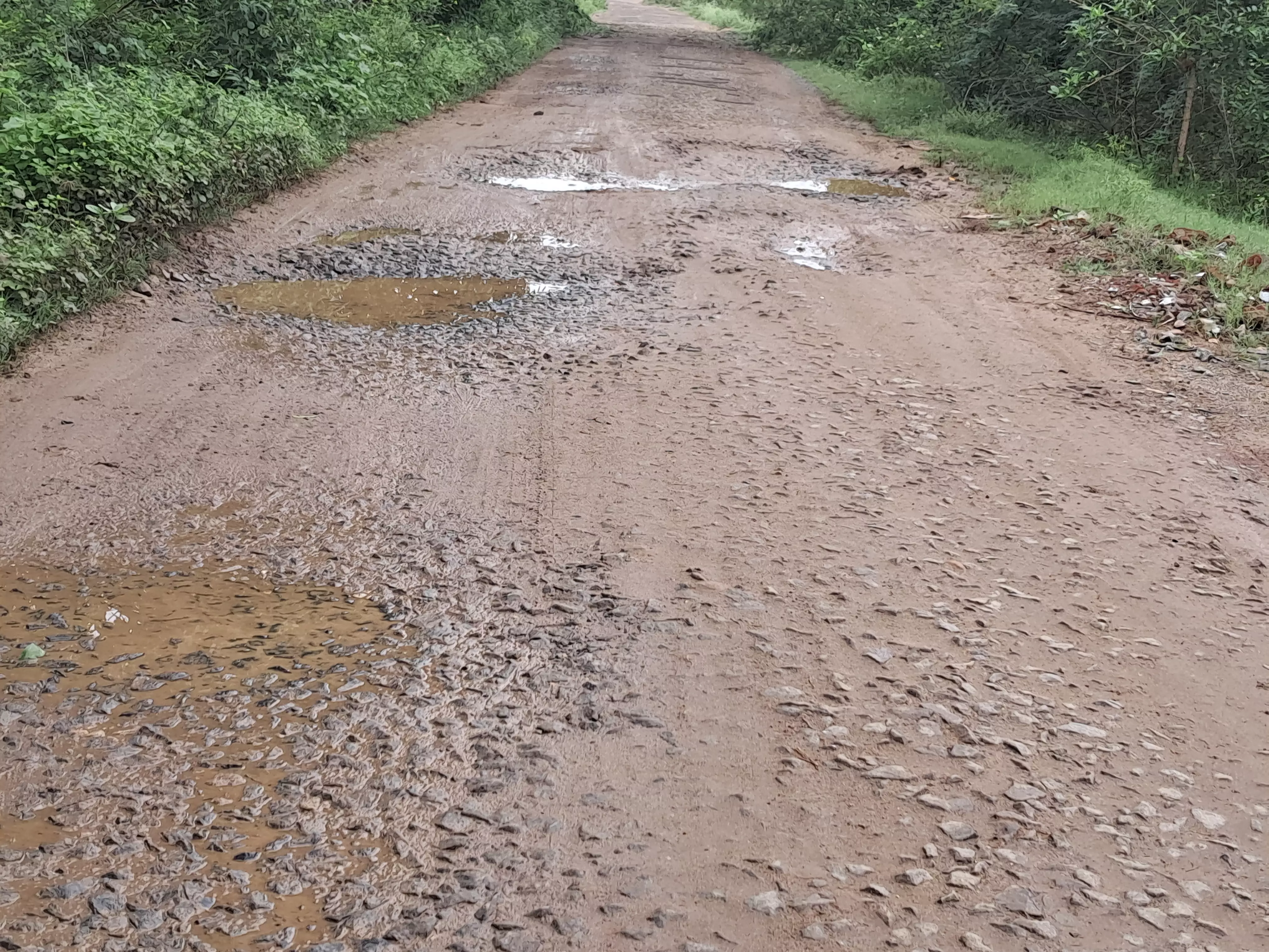 தார்சாலை போடலாமே!