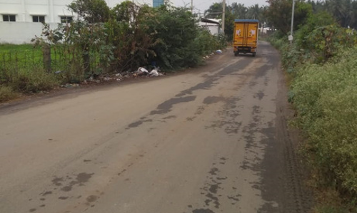 புதர்மண்டிக்கிடக்கும் சாலை புதர்மண்டிக்கிடக்கும் சாலை