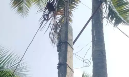 ஆபத்தான மின்கம்பம்