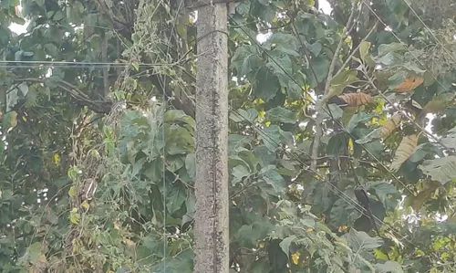 ஆபத்தான மின்கம்பம்