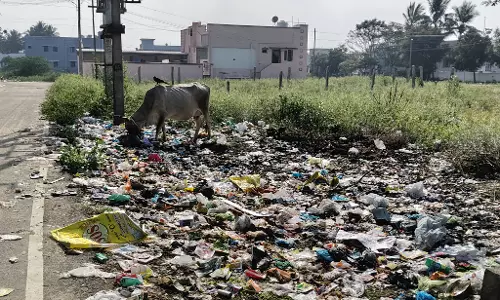 குடியிருக்கும் இடத்தில் குப்பை கிடங்கா? குடியிருக்கும் இடத்தில் குப்பை கிடங்கா?