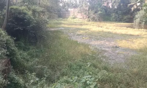 குளத்தை தூர்வார வேண்டும்