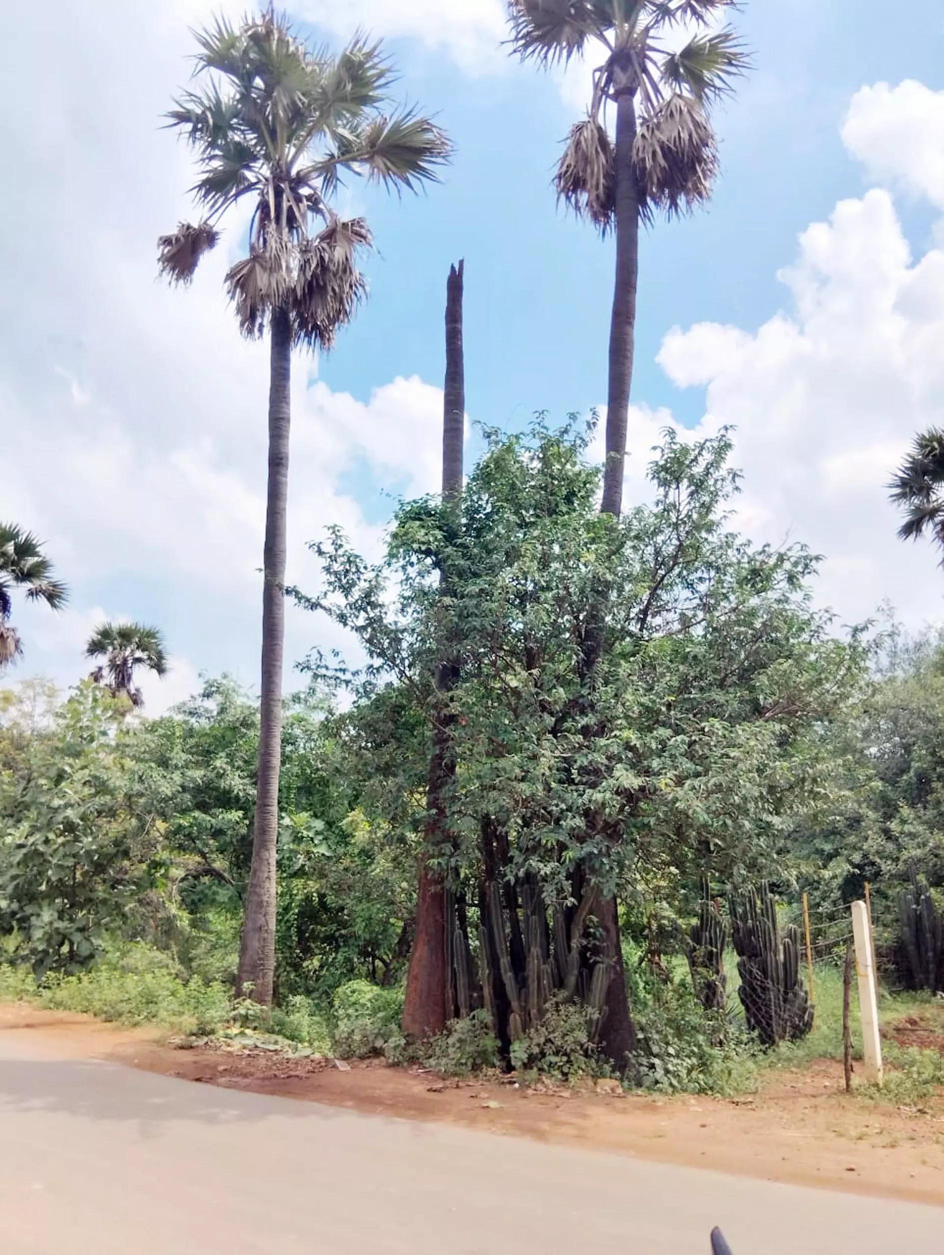 போக்குவரத்துக்கு இடையூறு