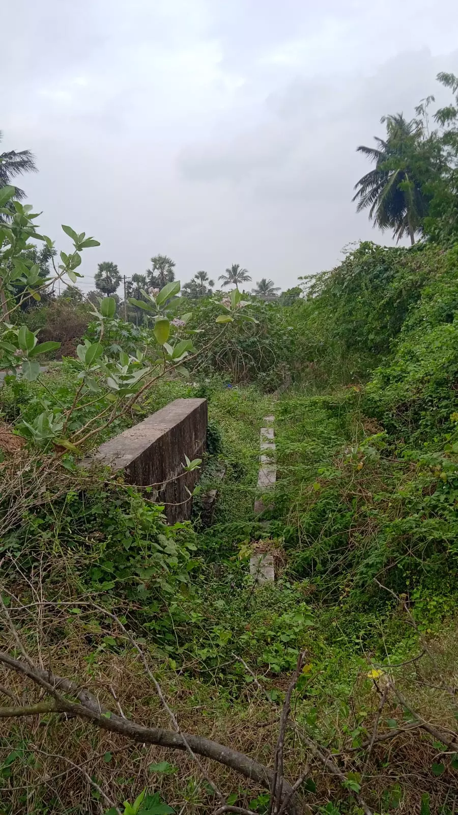 காணாமல்போன கால்வாய்