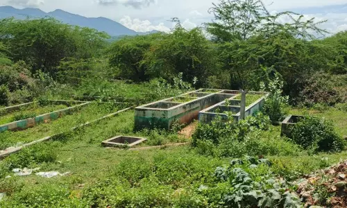 செயல்படாத குப்பை கிடங்கு கட்டிடம்