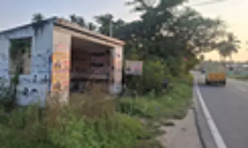 புதர் மண்டிய நிழற்குடை