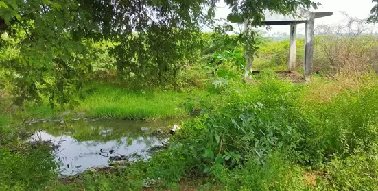 மயானத்தில் தேங்கும் கால்வாய் நீர்